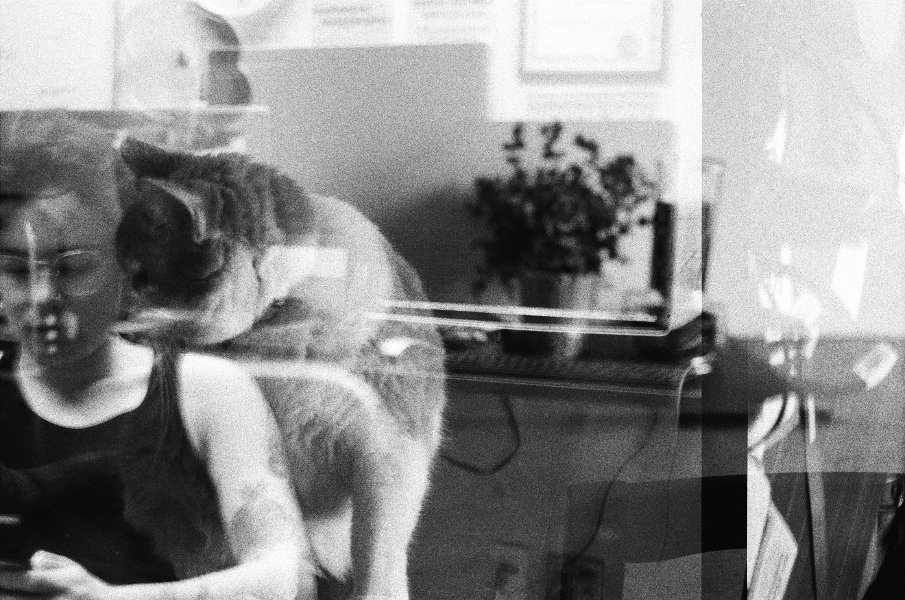 Posted media